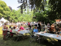 Vlaams volksfeest in het park